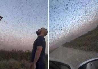 Invasione record di locuste, milioni di insetti oscurano il cielo. E il web grida alla 'piaga biblica'