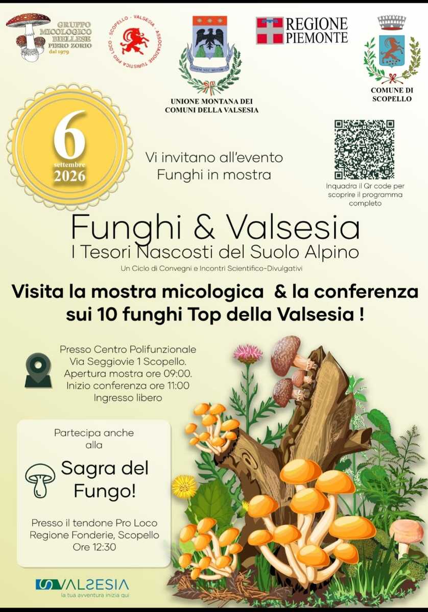 Funghi protagonisti a Scopello: mostra, conferenza e Sagra il 6 settembre Funghi protagonisti a Scopello: mostra, conferenza e Sagra il 6 settembre