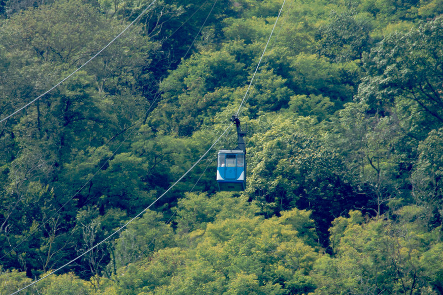 Cade la cabina della funivia Stresa Mottarone, diverse le ...