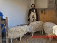 Rivò, il presepe da vivere: un viaggio nel Natale di una volta FOTO e VIDEO Catia Ciccarelli e Mauro Bedenetti per newsbiella.it