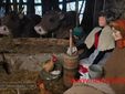Rivò, il presepe da vivere: un viaggio nel Natale di una volta FOTO e VIDEO Catia Ciccarelli e Mauro Bedenetti per newsbiella.it