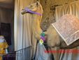 Rivò, il presepe da vivere: un viaggio nel Natale di una volta FOTO e VIDEO Catia Ciccarelli e Mauro Bedenetti per newsbiella.it