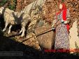 Rivò, il presepe da vivere: un viaggio nel Natale di una volta FOTO e VIDEO Catia Ciccarelli e Mauro Bedenetti per newsbiella.it