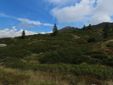 All’Alpe Sorbella biodiversità e pascoli al centro: i monitoraggi confermano i primi risultati All’Alpe Sorbella biodiversità e pascoli al centro: i monitoraggi confermano i primi risultati
