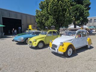 Fondazione Marazzato, "Ruote Veloci 2025": record di pubblico e divertimento senza limiti