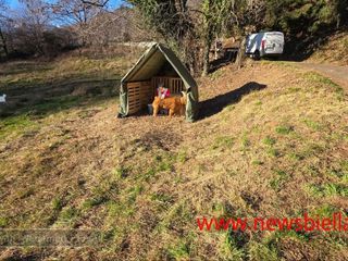 Rivò, il presepe da vivere: un viaggio nel Natale di una volta FOTO e VIDEO Catia Ciccarelli e Mauro Bedenetti per newsbiella.it
