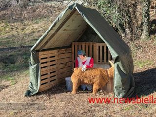 Rivò, il presepe da vivere: un viaggio nel Natale di una volta FOTO e VIDEO Catia Ciccarelli e Mauro Bedenetti per newsbiella.it