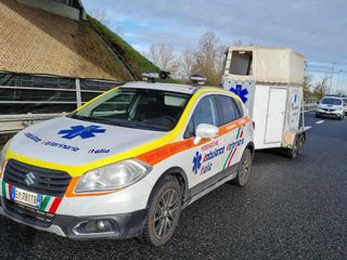 Caprioli allo svincolo di Vercelli Est: in corso operazioni di recupero