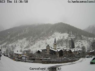 Carcoforo