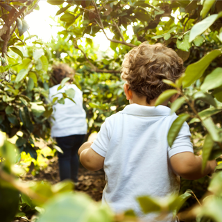 Nati con la Natura: nel verde si cresce meglio, dallo sviluppo alle relazioni sociali.