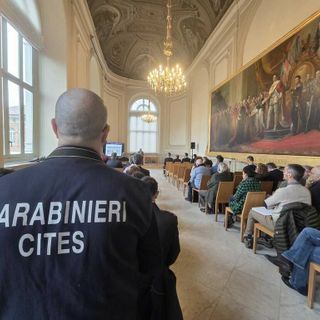 In Piemonte cresce il traffico illecito di amici a 4 zampe. Un business ad alto rendimento e a basso rischio