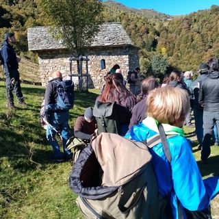 Gruppo Micologico Biellese, nuovo direttivo ed eventi