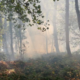 Incendi, il Piemonte regge ma l’Italia brucia: Legambiente lancia l’allarme e chiede un cambio di passo