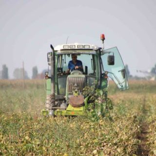 Coldiretti Vercelli-Biella in piazza a Strasburgo per fermare la follia della Von Der Leyen e salvare l’agricoltura europea