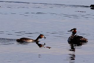 Acqua è vita, storie di risorse e speranze dal mondo: se ne parla a Città Studi