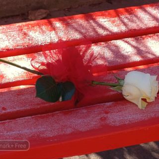 25 novembre, Giornata contro la violenza sulle donne: una donna su tre è vittima di violenza