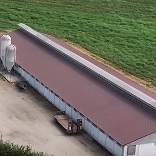 Dal Nord OvestScatta la seconda fase di contenimento della peste suina nel novarese