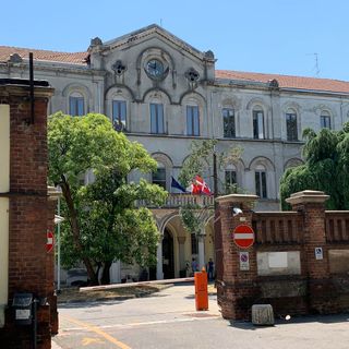 Dal nord ovest. Abbattimento di 600 maiali a Trecate: primo caso di peste suina africana in Piemonte