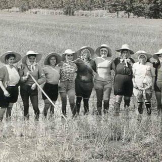 Mondine: donne, risaie e rivoluzioni sociali tra Piemonte e Lombardia