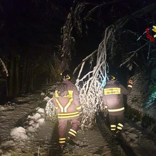 Neve in Valsesia: alberi caduti e notte di lavoro per i Vigili del Fuoco