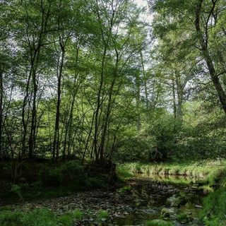 Foto da Associazione Culturale Officina Fotografica
