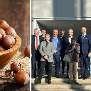 Il Piemonte protegge l'eccellenza: 750.000 euro per il rilancio della nocciola IGP