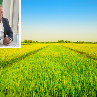 135 milioni per 30mila aziende agricole piemontesi: &quot;Risposte concrete per programmare il futuro&quot;.