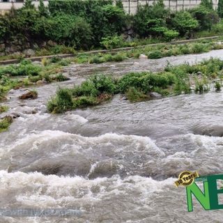 Forti temporali in arrivo, è allerta gialla in alcune zone del Piemonte (foto di repertorio)