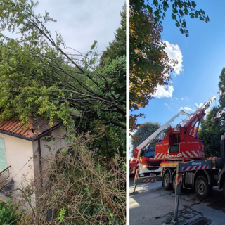 Pianta crolla su un'abitazione: intervengono i Vigli del Fuoco di Arona e Romagnano Sesia
