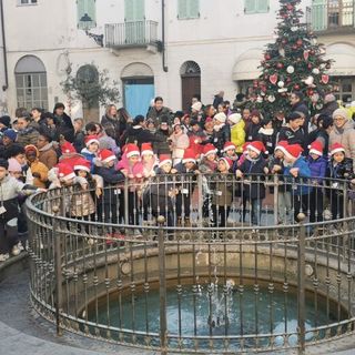 "Alberi in rima e Albero di Tutti": Fondazione Marazzato presenta le iniziative 2025