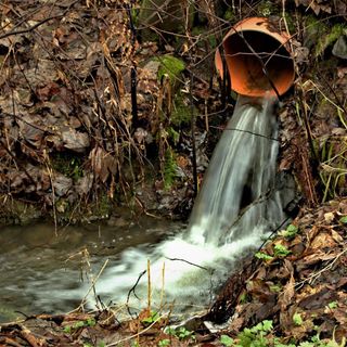 Coldiretti Vercelli-Biella - Ambiente: "Bene decreto acque reflue contro danni siccità"