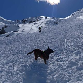 Nevicate in alta montagna, le raccomandazioni del Soccorso Alpino del Piemonte
