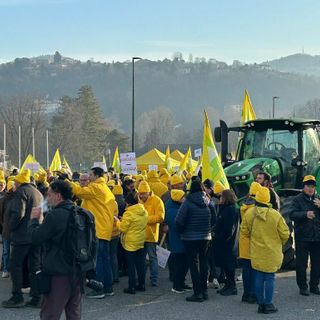 Un fiume giallo invade Torino: migliaia di agricoltori chiedono al Piemonte di “darsi un andi”