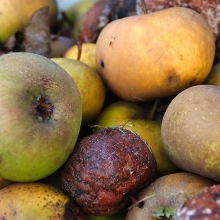 Giornata nazionale di prevenzione dello spreco alimentare, le iniziative in Piemonte