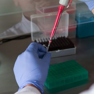 1° dicembre giornata mondiale contro AIDS: calo significativo del virus HIV in Piemonte