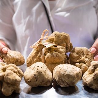 Il tartufo, nuova materia di studio all'Alberghiero in Piemonte