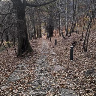 Quarona, 15mila euro da Fondazione CRT per la mulattiera verso la Beata al Monte