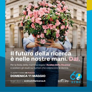 Festa della mamma e solidarietà: torna nelle piazze l'azalea della ricerca a sostegno delle donne