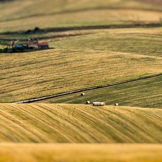 Agricoltura Piemonte: la Regione proroga le misure agroambientali del Psr con una dotazione finanziaria di 1,5 milioni di euro