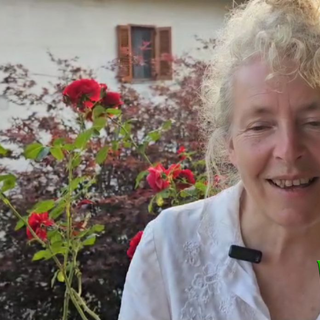 Caccia al tesoro botanica ed esperimenti con petali di fiori all'orto botanico di Guardabosone
