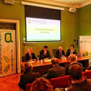Incontro di verifica annata agraria 2019