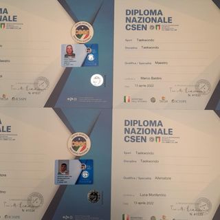 Gattinara: formazione per allenatori e maestri di Taekwondo
