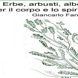 Romagnano Sesia, presentazione del libro &quot;Erbe, arbusti, alberi per il corpo e lo spirito&quot;