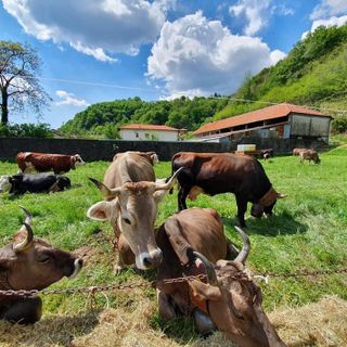 Un successo la Fiera di Isolella