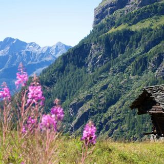 Alla scoperta della Val Grande
