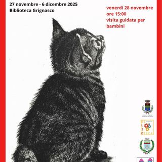Grignasco celebra Franco Fizzotti: in Biblioteca la mostra “Sguardi Felini e Altri Racconti”