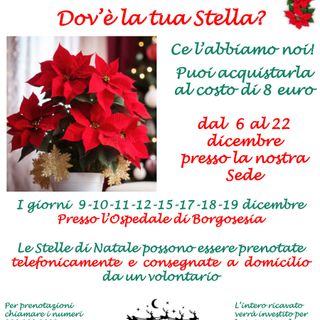 Borgosesia: Eventi e stelle di Natale per acquistare un’auto per la radiologia mobile