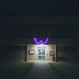 Lozzolo si accende di viola per &quot;Facciamo luce sul tumore al pancreas&quot;