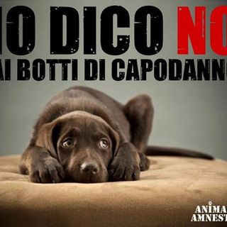 Appello a Borgosesia contro i botti a Capodanno