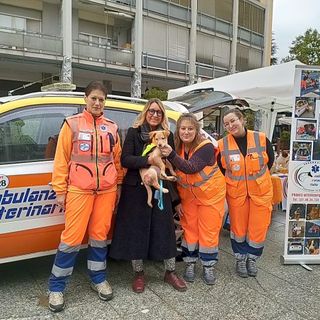 Borgosesia e Ambulanze Veterinarie Italia: primo anno di convenzione archiviato con numeri e interventi